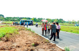 GIẢI MÃ CƠN SỐT ĐẤT SAU TẾT NGUYÊN ĐÁN